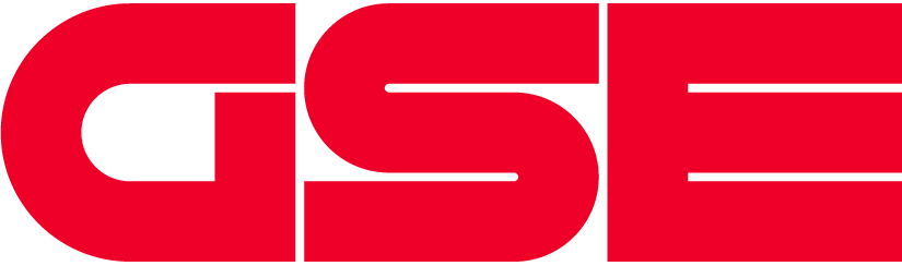 GSE Holding